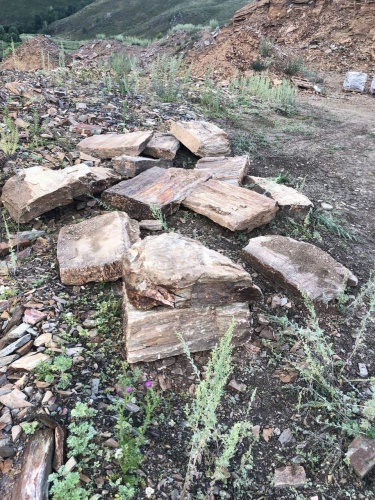 Плитняк кора дерева 50-100мм для пошаговых дорожек купить в Артёмовском